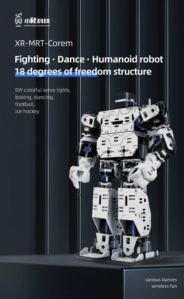 XiaoR Humanoid Robot