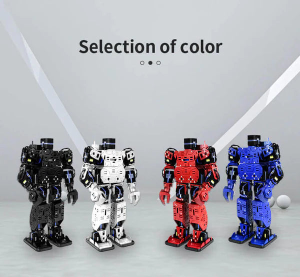 XiaoR Humanoid Robot