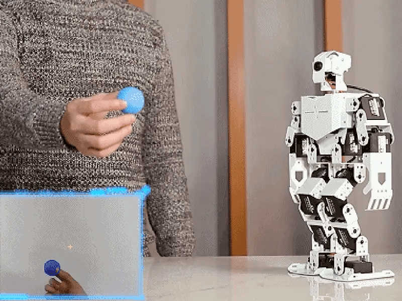 TonyPi Humanoid Robot