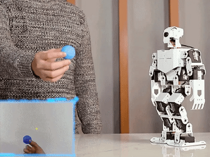 TonyPi Humanoid Robot