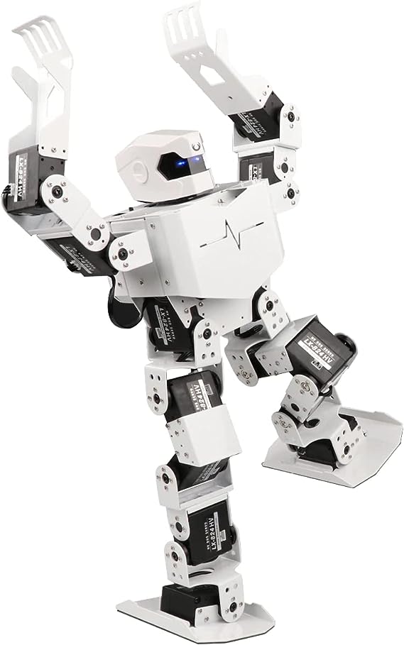 H5S Humanoid Robot