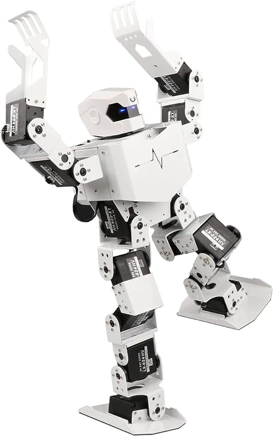 H5S Humanoid Robot