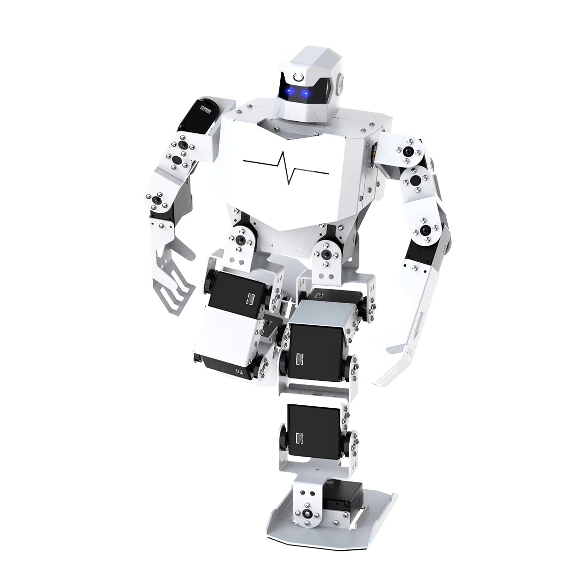 H5S Humanoid Robot