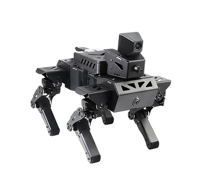 XiaoR AI Dog