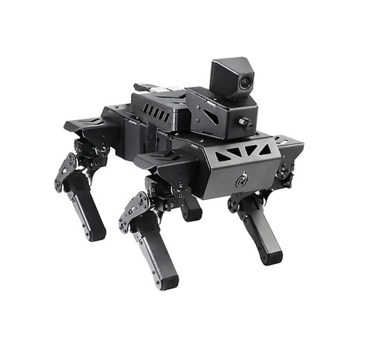 XiaoR AI Dog