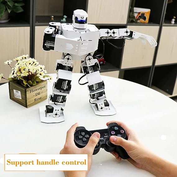 H5S Humanoid Robot