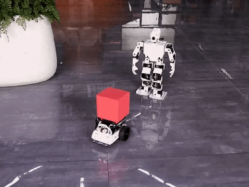 TonyPi Humanoid Robot