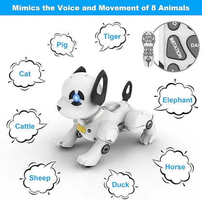 RC Robot Dog