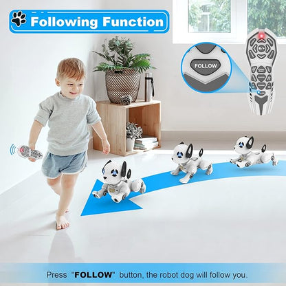 RC Robot Dog