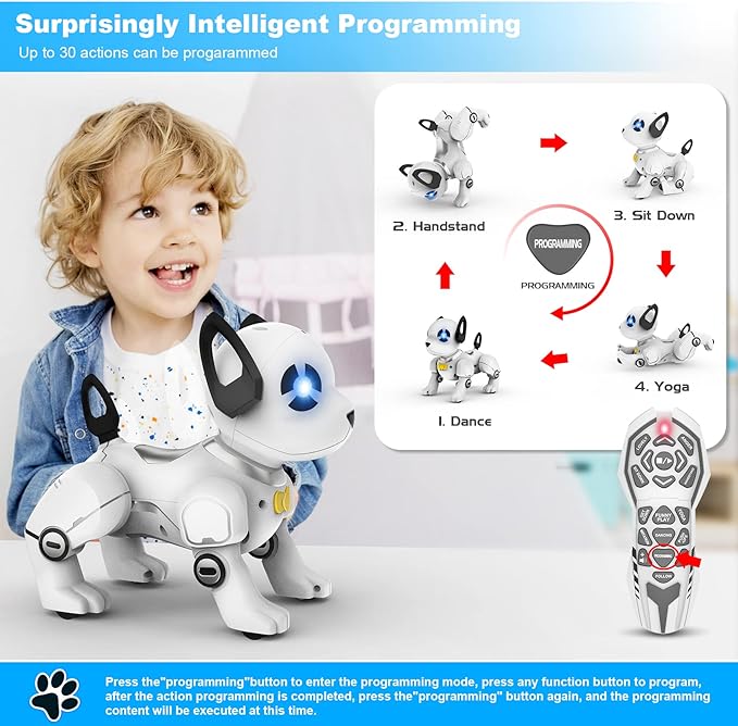 RC Robot Dog