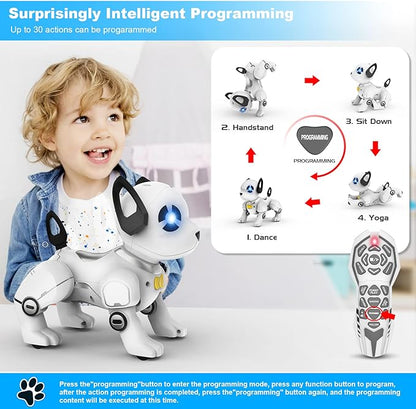 RC Robot Dog