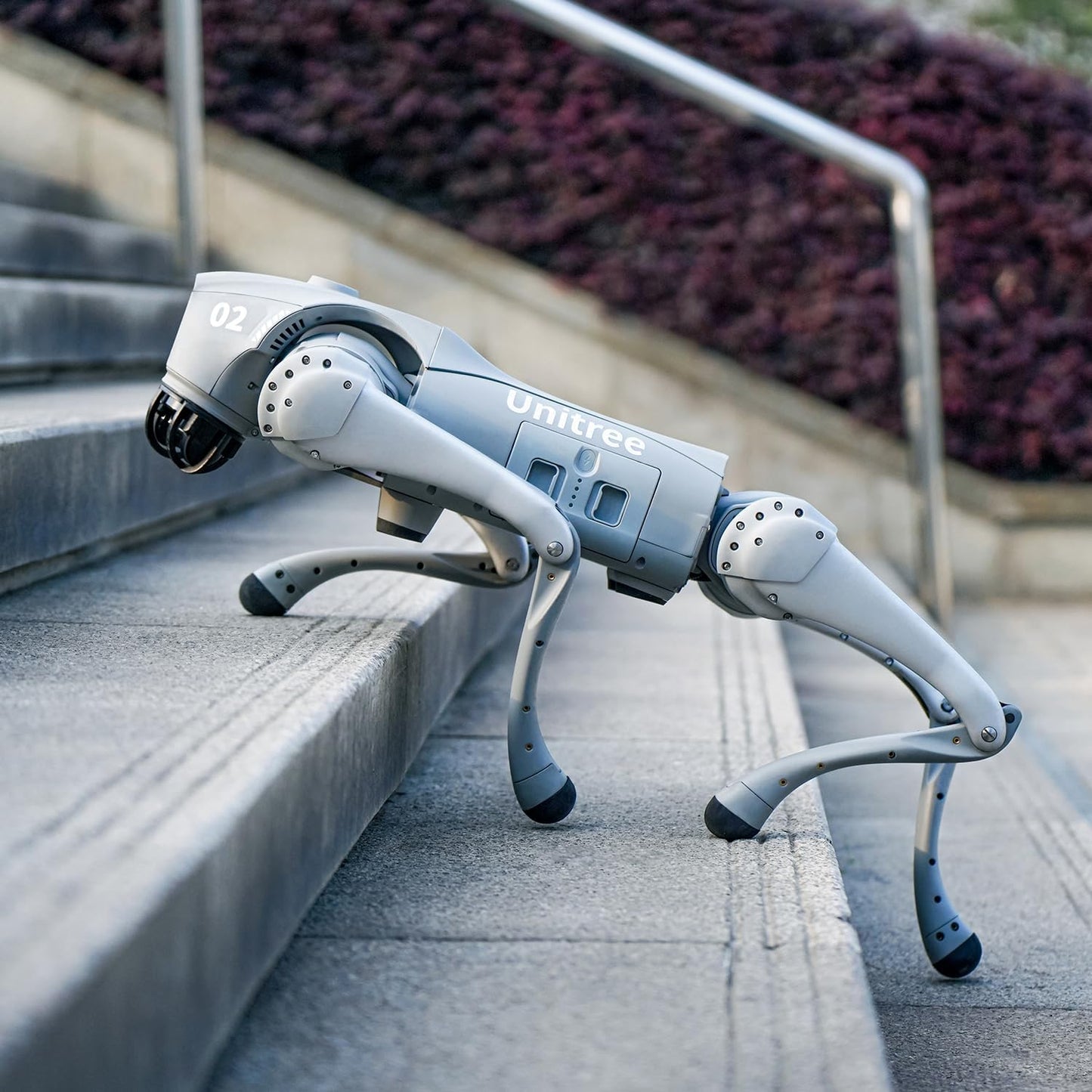 Unitree AI Dog