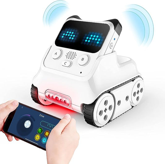 Panda Coding Toy