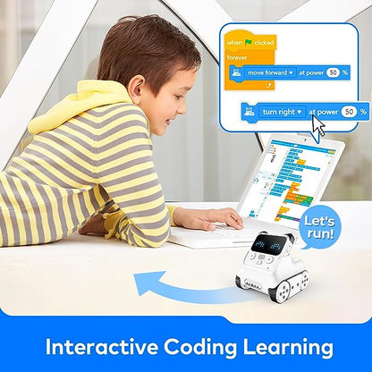 Panda Coding Toy
