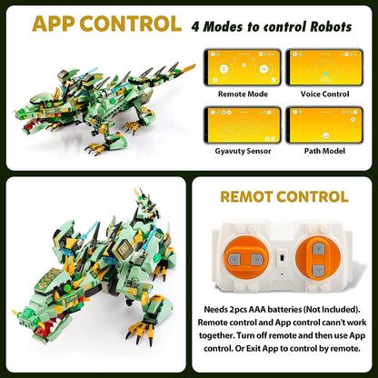 RC Dragon Kit