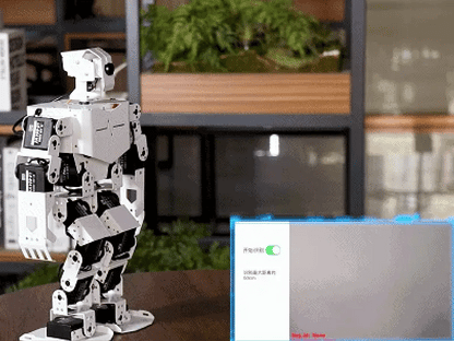 TonyPi Humanoid Robot