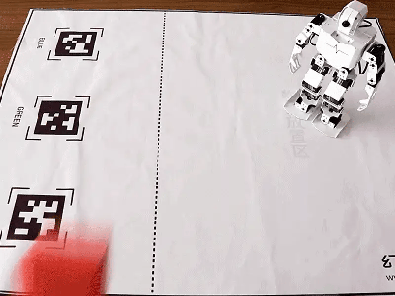 TonyPi Humanoid Robot